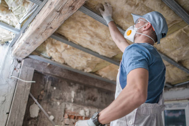 Best Geographic-Specific Insulation Services in South Miami Heights, FL